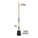 PCL-CG+FC1.jpg