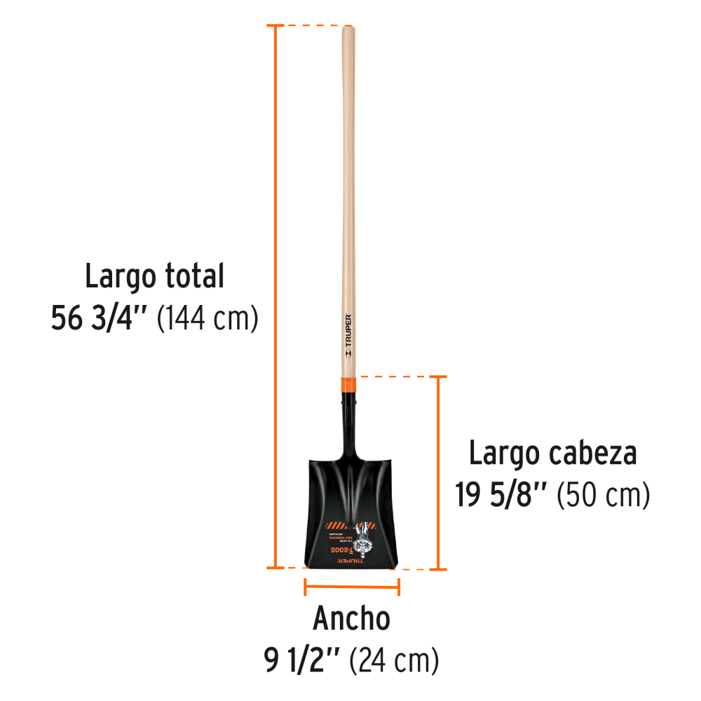 PCL-P+FC2.jpg