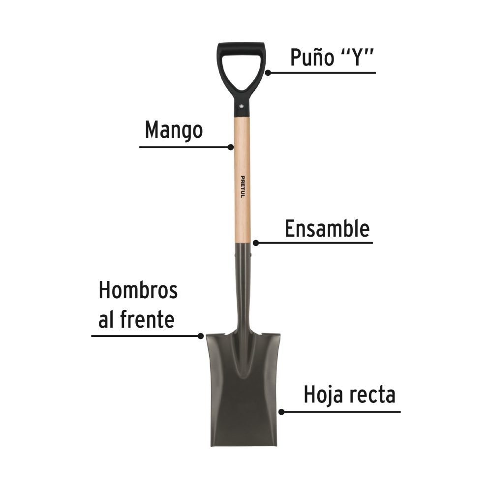 PED-P+FC1.jpg