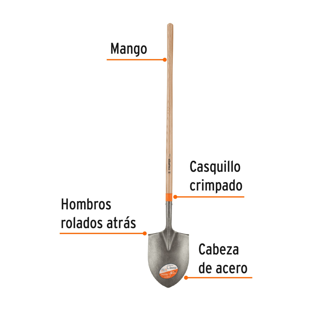 PIR+FC1.jpg