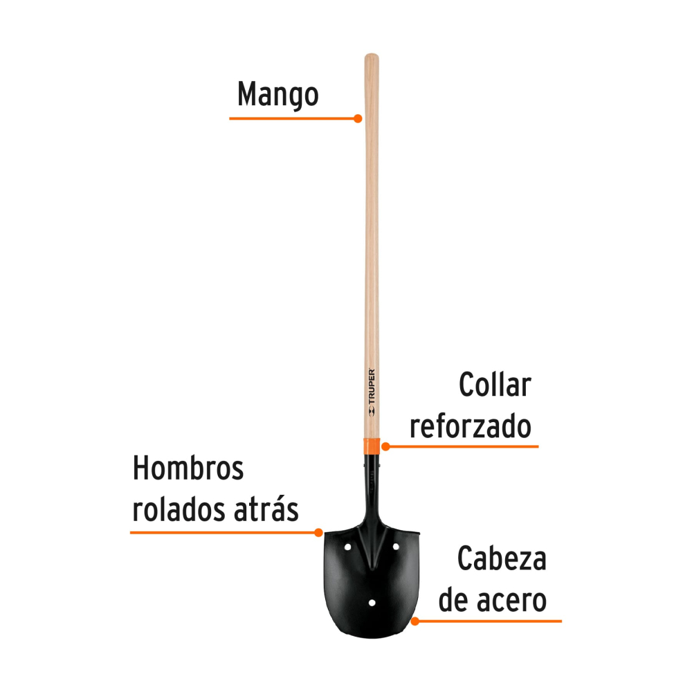 PARRO-LP+FC1.jpg