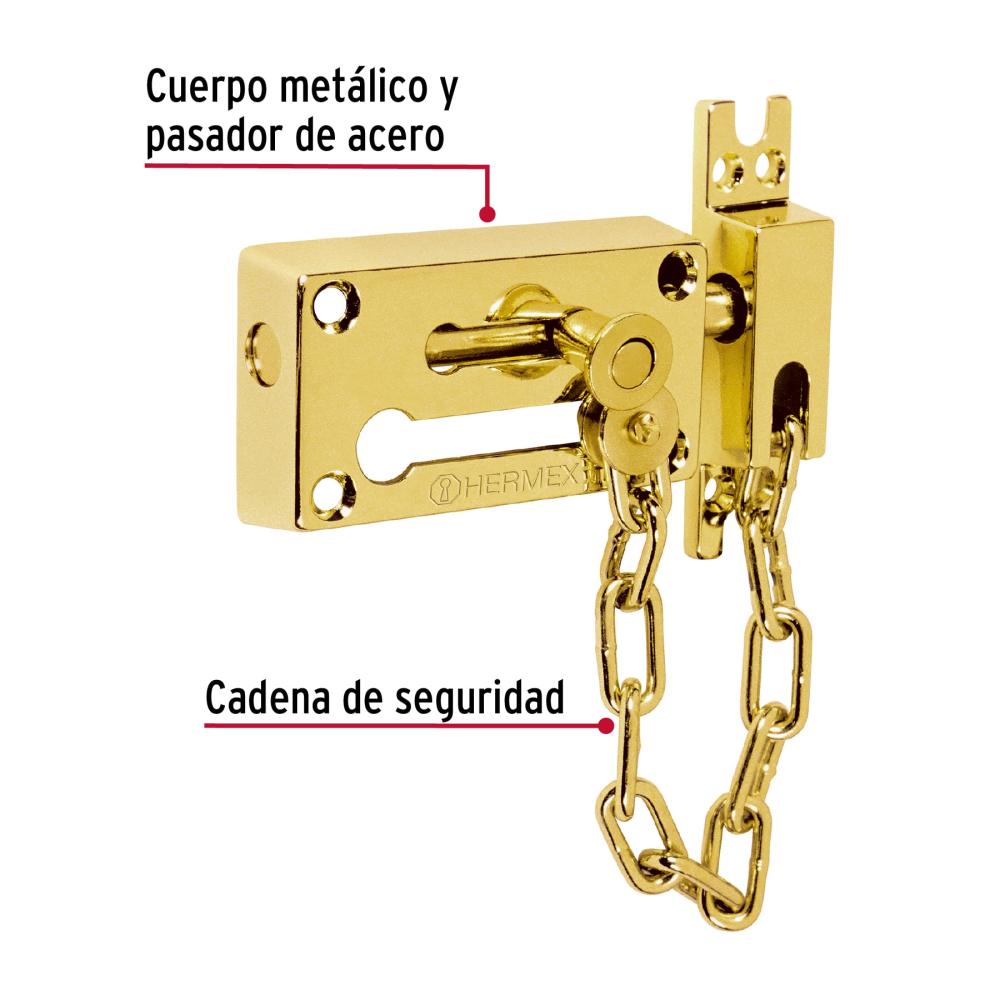 PACA-1+FC1.jpg