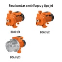 PATA-BOACJ+D1.jpg