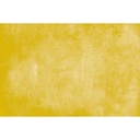 PICE-11+D1.jpg