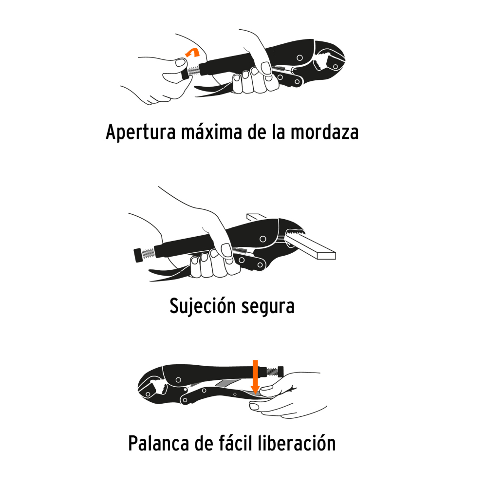 PPT-12C+FC3.jpg