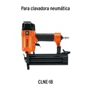 PI-CLNE-18+D1.jpg