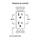 PA-CODO-CLP+FC3.jpg