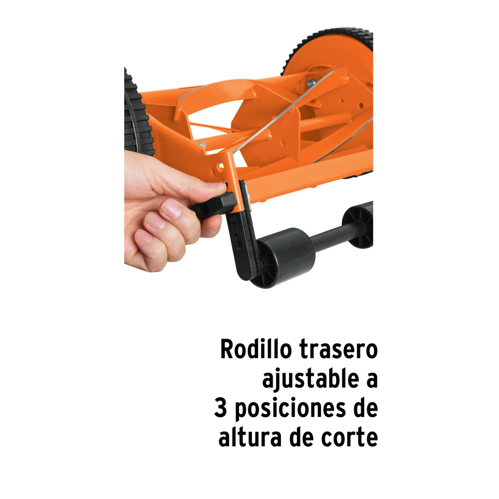 POMA-14+D1.jpg