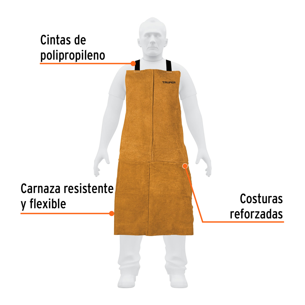 PROSO-1+FC1.jpg