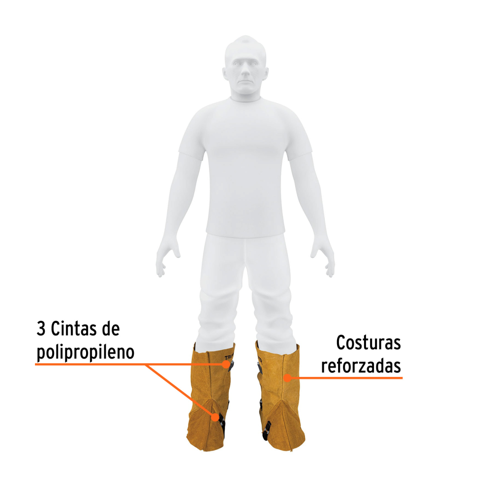 PROSO-3+FC1.jpg