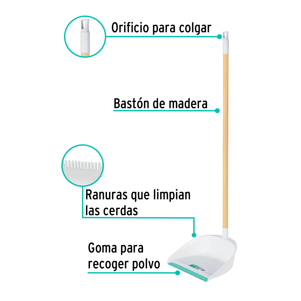RECO-11B+FC1.jpg
