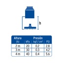 R-206SN+FC2.jpg