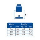 R-208N+FC2.jpg