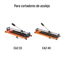 REP-CAZ-COR+D1.jpg