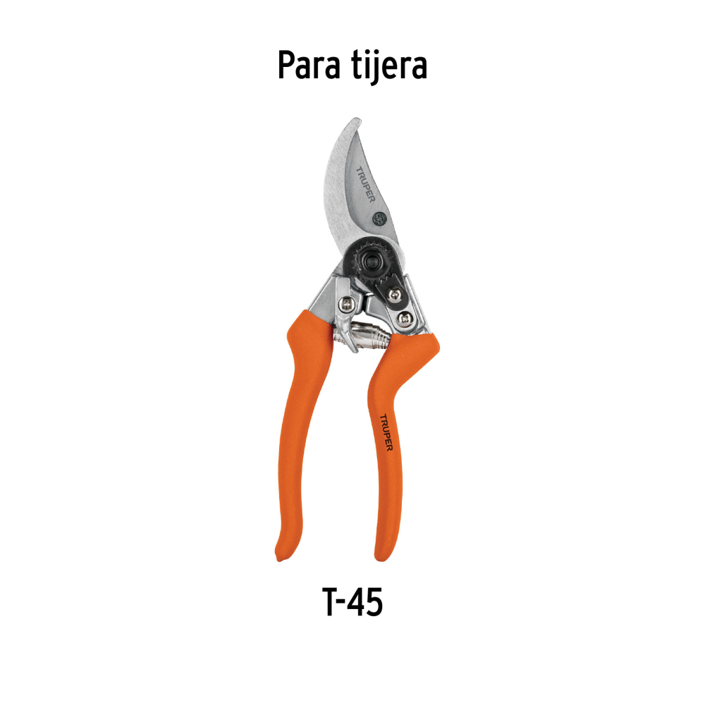 REP-T45-2+D1.jpg