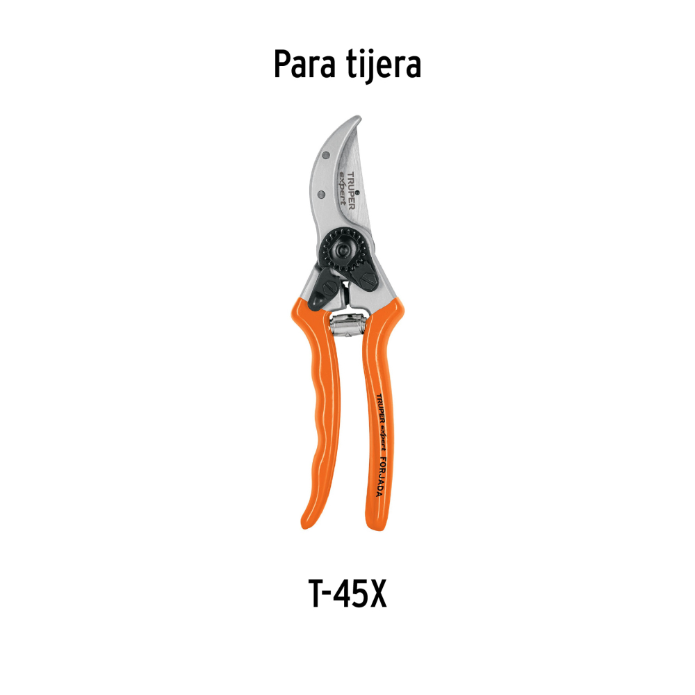 REP-T45X-2+D1.jpg