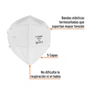 MAS-PLE+FC1.jpg