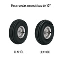 N10+D1.jpg
