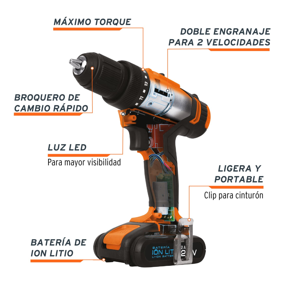 TALI-20A+FC1.jpg