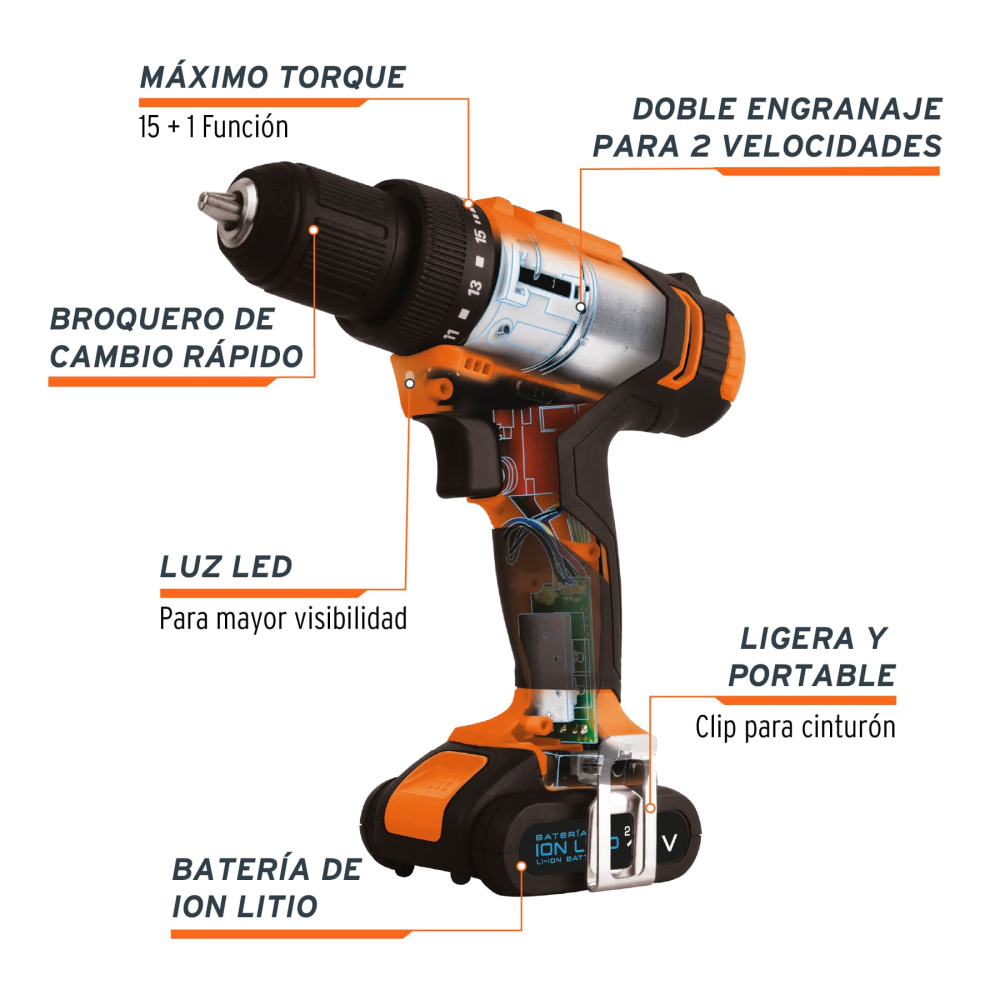TALI-12A2+FC1.jpg