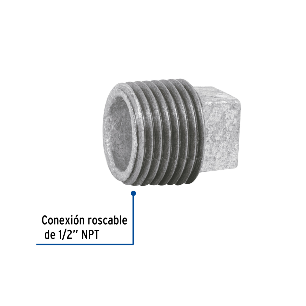 CG-311+FC1.jpg