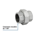 CG-973+FC1.jpg