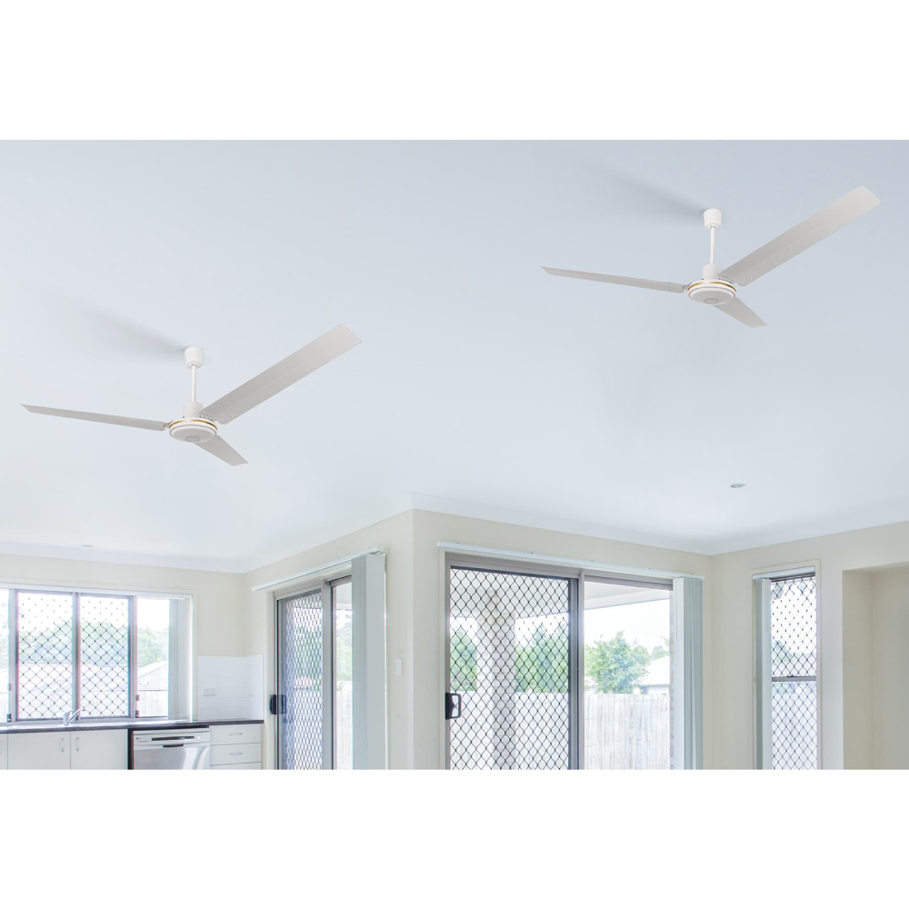VENT-56+A2.jpg