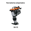 ZA-BAI-55+FC1.jpg