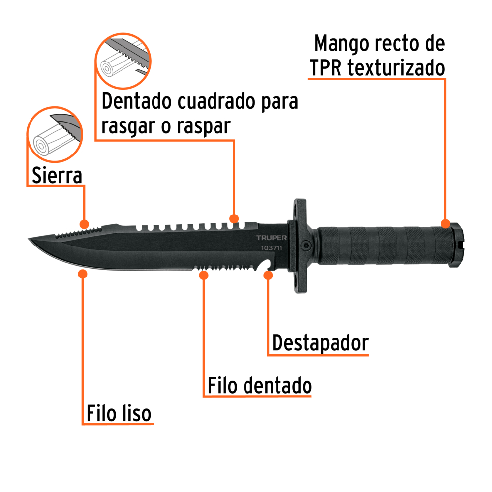 CTA-8M+FC1.jpg