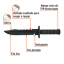 CTA-8M+FC1.jpg