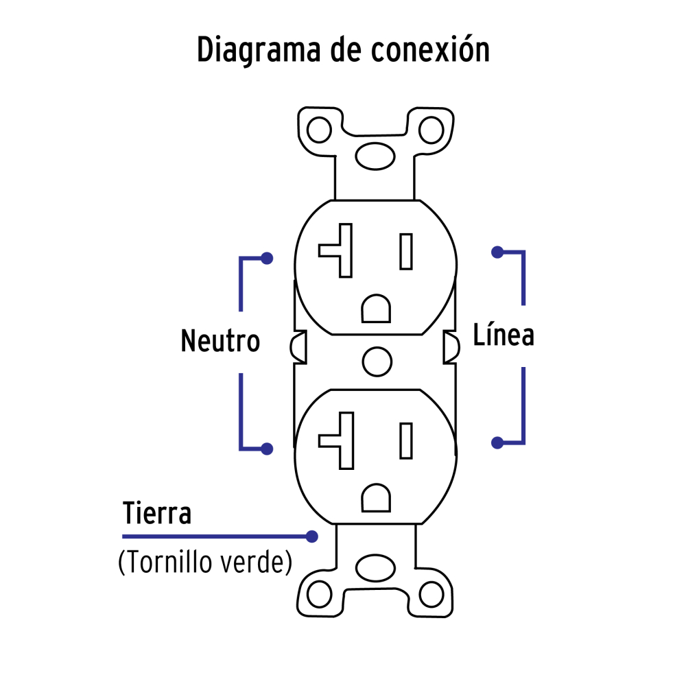PA-CODO-MS+FC3.jpg