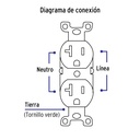 PA-CODO-MS+FC3.jpg