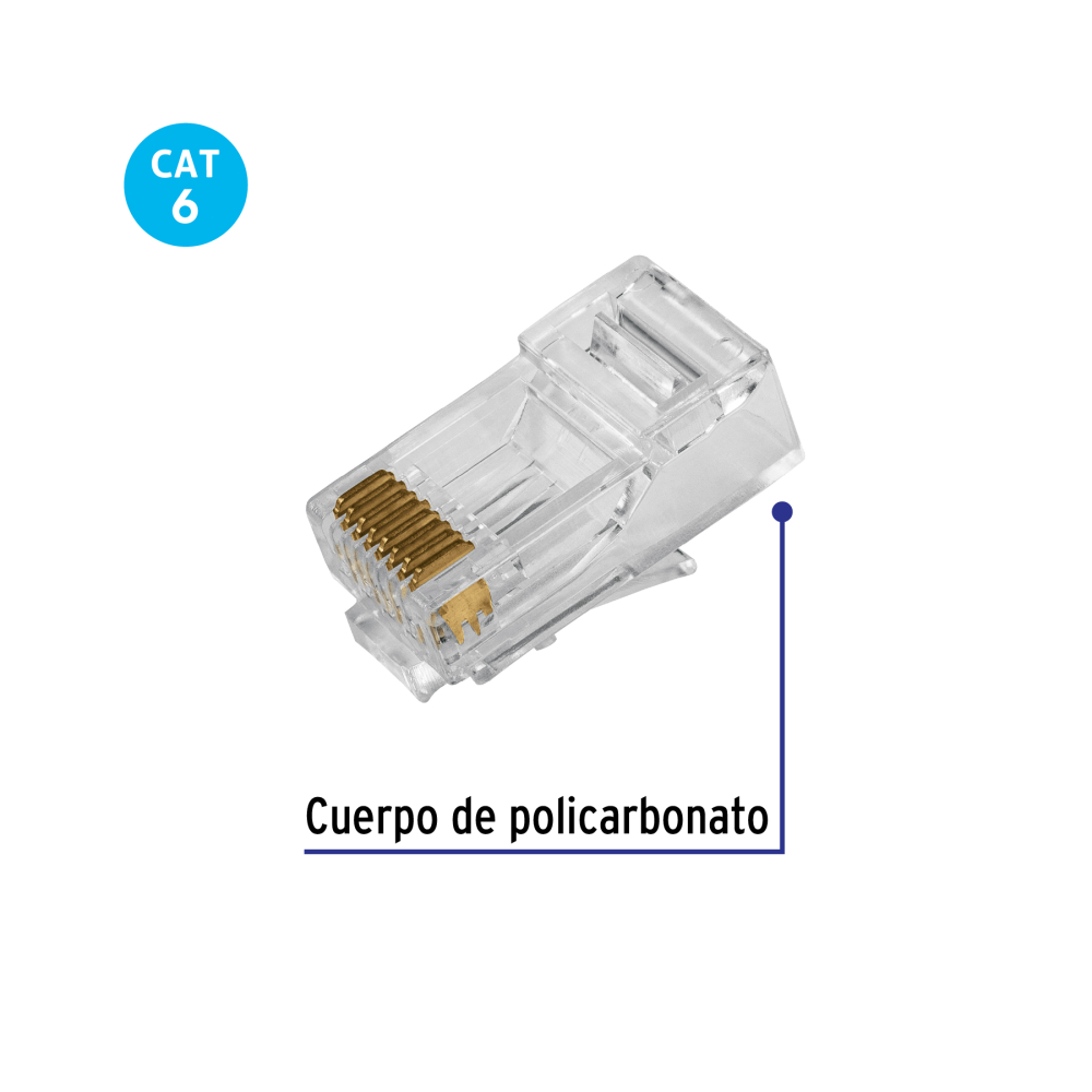 CBR-6P+FC1.jpg