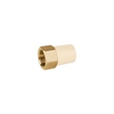 Adaptador hembra de CPVC 3/4' con inserto de latón, FOSET CPVC-642