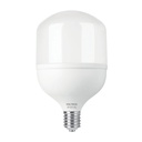 Lámpara LED alta potencia 60 W (equiv. 650 W), luz de día LED-650