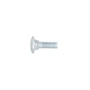 Bolsa con 100 tornillos 1/4' x 3/4' tipo coche, FIERO TORC-1/4X3/4