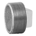 Tapón macho 2' de acero galvanizado, Foset CG-316