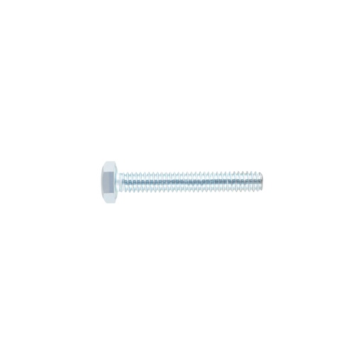 [40862] Bolsa con 60 tornillos 1/4' x 1-3/4' tipo máquina, FIERO TORM-1/4X1-3/4